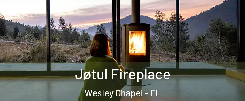  Jøtul Fireplace Wesley Chapel - FL