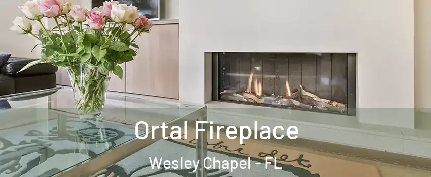  Ortal Fireplace Wesley Chapel - FL