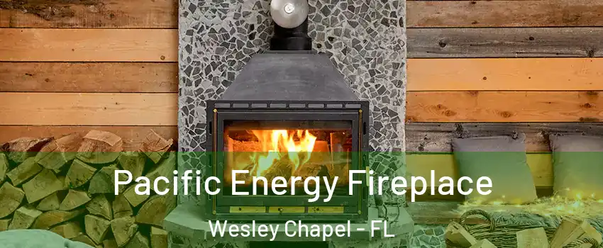  Pacific Energy Fireplace Wesley Chapel - FL