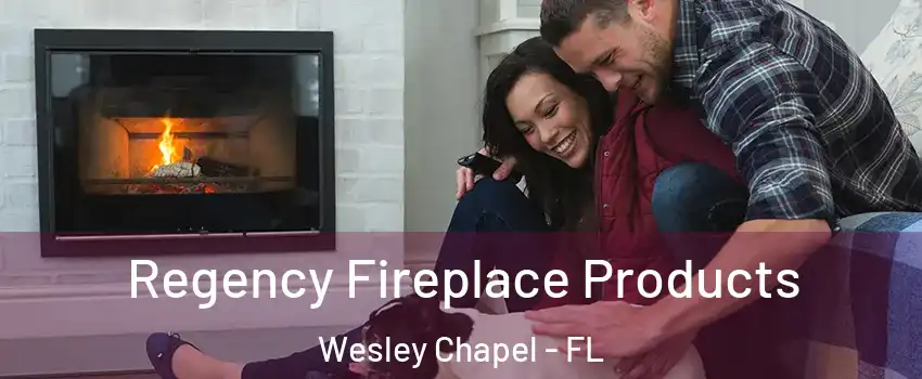  Regency Fireplace Products Wesley Chapel - FL
