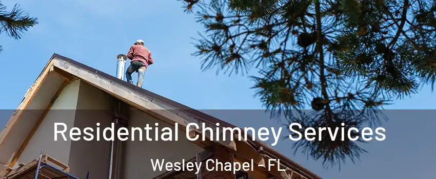  Residential Chimney Services Wesley Chapel - FL