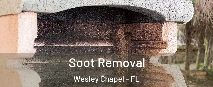  Soot Removal Wesley Chapel - FL