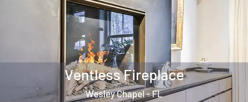 Ventless Fireplace Wesley Chapel - FL