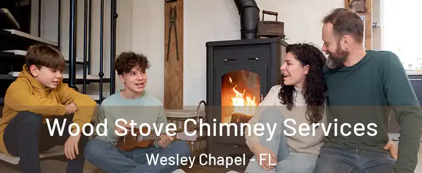  Wood Stove Chimney Services Wesley Chapel - FL